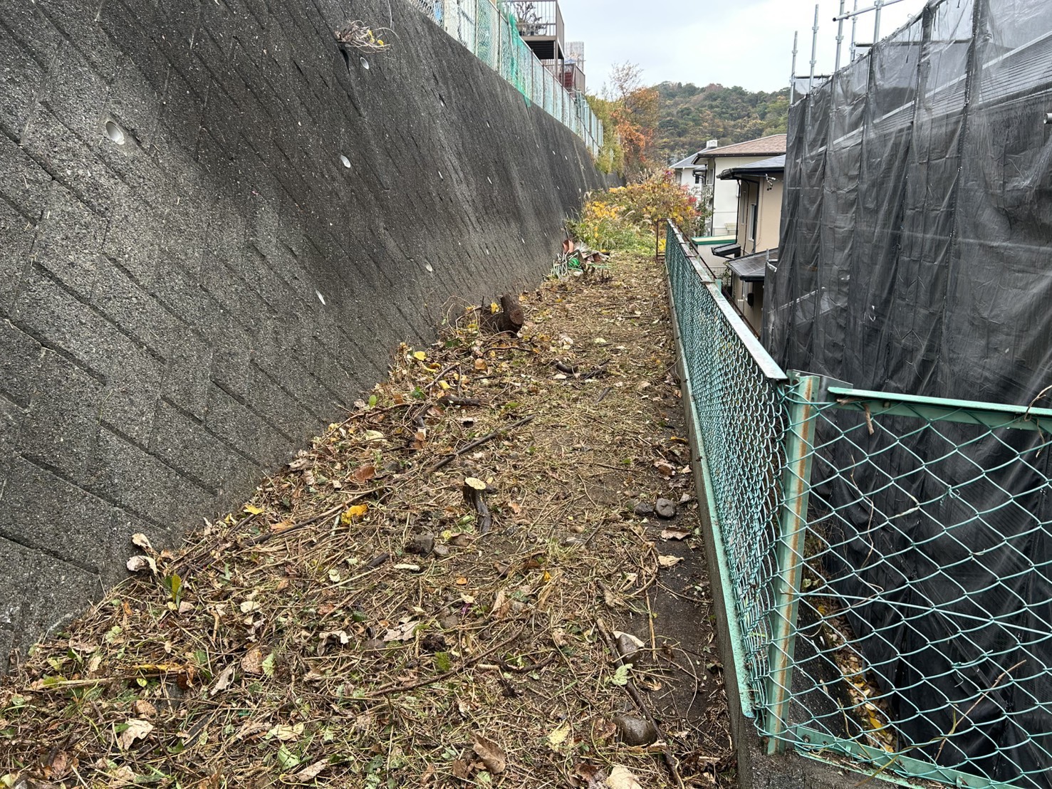 静岡市で空き地の草刈り・不要物撤去を行いました｜施工事例